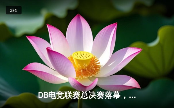 DB电竞联赛总决赛落幕，枪男战队3:2险胜青云夺冠 - 3
